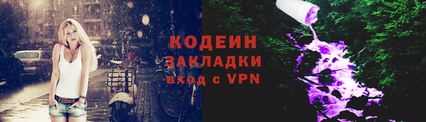 шишки Костерёво