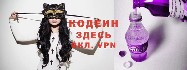шишки Костерёво