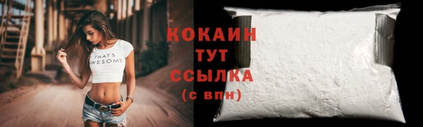 шишки Костерёво