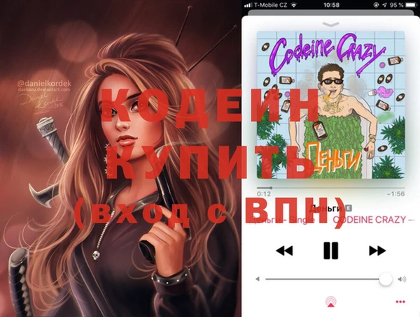 шишки Костерёво