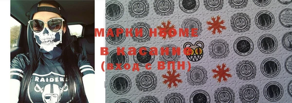шишки Костерёво