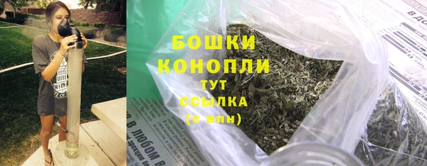 шишки Костерёво