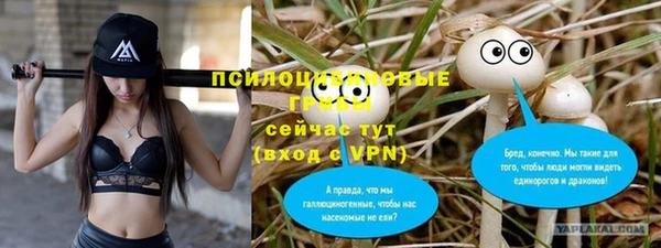 Альфа ПВП Корсаков
