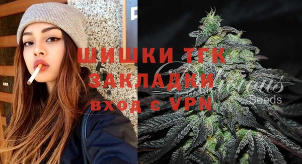 шишки Костерёво