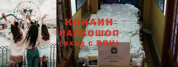 шишки Костерёво