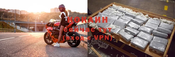 шишки Костерёво