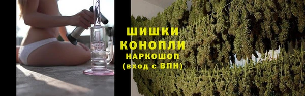 Альфа ПВП Корсаков