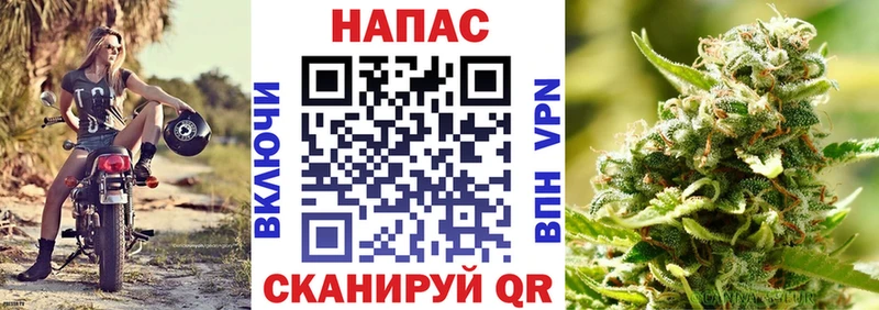 Каннабис Amnesia  Купить где  Первомайск 